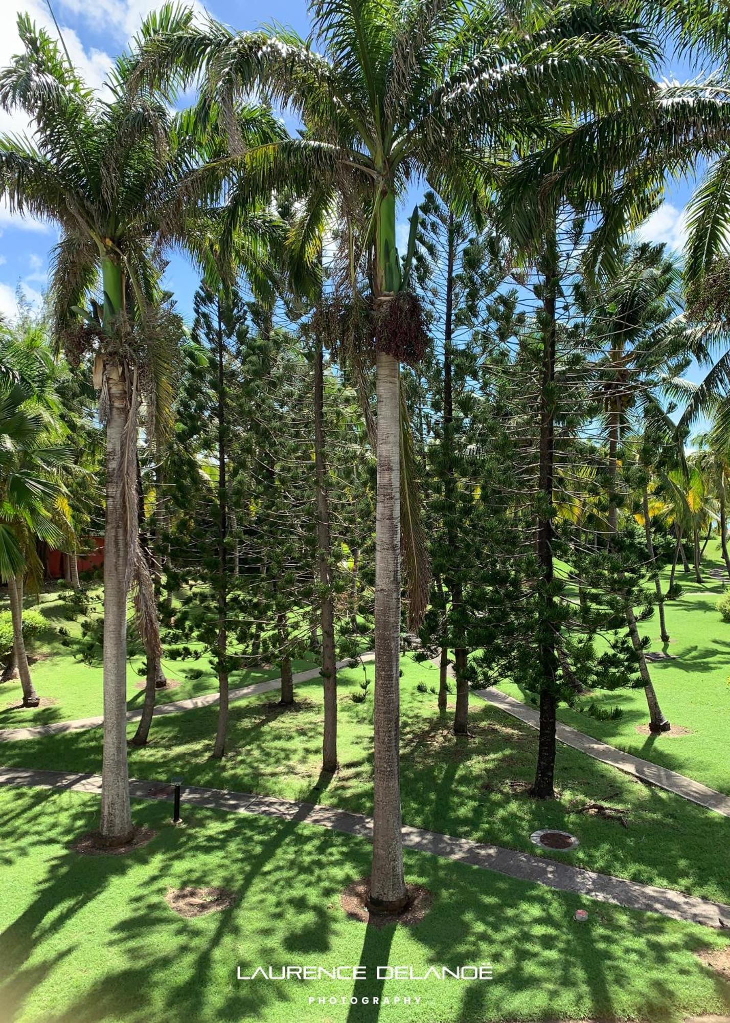 Appartement Varangue, Anse Des Rochers Saint-Francois  Εξωτερικό φωτογραφία